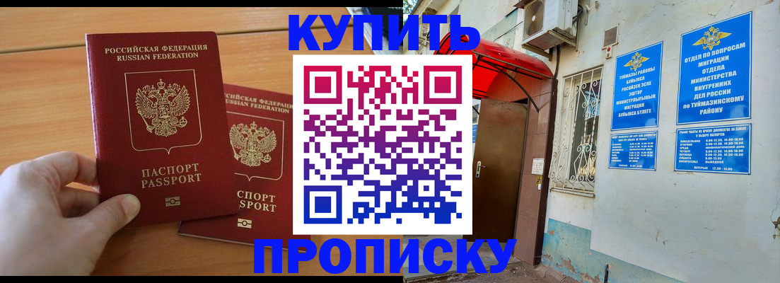 прописка штамп в Курске